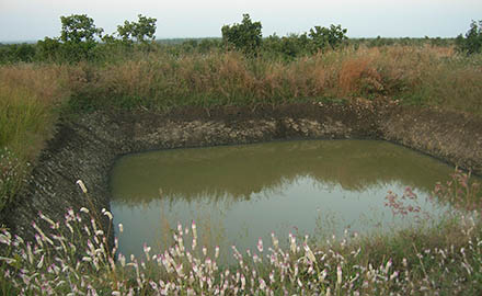 Farm Pond at Chikhali village under CAPART